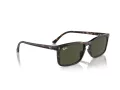 Ray-Ban Solbriller RB 4435 902/31