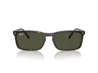 Ray-Ban Solbriller RB 4435 902/31