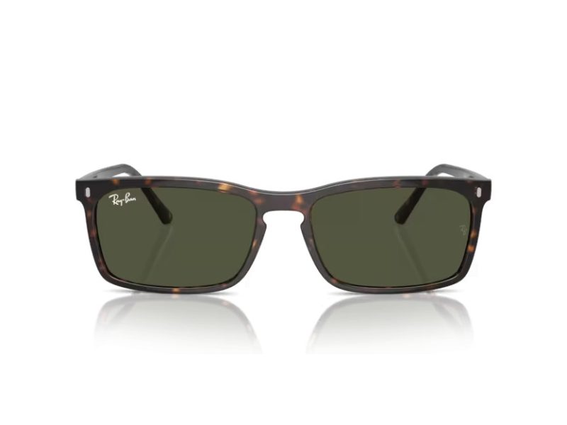 Ray-Ban Solbriller RB 4435 902/31