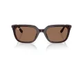 Ray-Ban Solbriller RB 4439D 623173