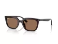 Ray-Ban Solbriller RB 4439D 623173