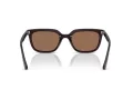Ray-Ban Solbriller RB 4439D 623173