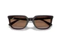 Ray-Ban Solbriller RB 4439D 623173