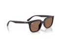 Ray-Ban Solbriller RB 4439D 623173
