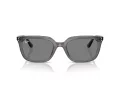 Ray-Ban Solbriller RB 4439D 667587