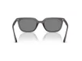 Ray-Ban Solbriller RB 4439D 667587
