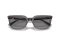 Ray-Ban Solbriller RB 4439D 667587