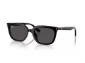 Ray-Ban Solbriller RB 4439D 901/87