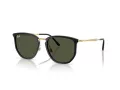 Ray-Ban Solbriller RB 4451 630631