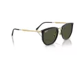 Ray-Ban Solbriller RB 4451 630631