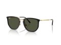 Ray-Ban Solbriller RB 4451 630631