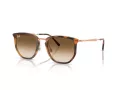 Ray-Ban Solbriller RB 4451 680451