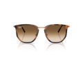 Ray-Ban Solbriller RB 4451 680451