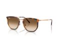 Ray-Ban Solbriller RB 4451 680451