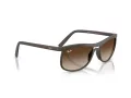 Ray-Ban Solbriller RB 4452 612413