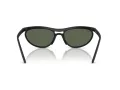 Ray-Ban Solbriller RB 4453 601S71