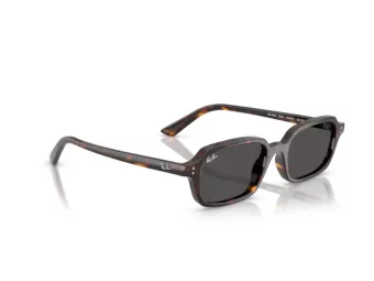 Ray-Ban Zuri Solbriller RB 4455 135987