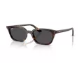 Ray-Ban Zaya Solbriller RB 4456 135987