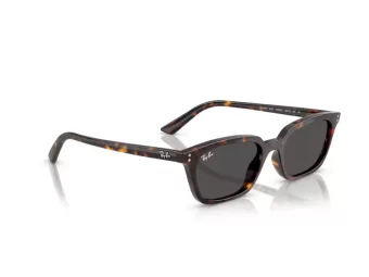 Ray-Ban Zaya Solbriller RB 4456 135987
