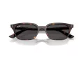 Ray-Ban Zaya Solbriller RB 4456 135987