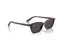 Ray-Ban Zaya Solbriller RB 4456 135987