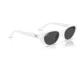Ray-Ban Solbriller RB 4457D 677287