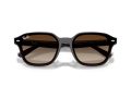 Ray-Ban Solbriller RB 4458D 714/13