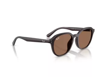 Ray-Ban Solbriller RB 4459D 623173