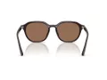 Ray-Ban Solbriller RB 4459D 623173