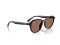 Ray-Ban Solbriller RB 4459D 623173