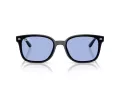 Ray-Ban Solbriller RB 4461D 601/80