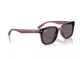 Ray-Ban Solbriller RB 4461D 659373