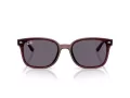 Ray-Ban Solbriller RB 4461D 659373
