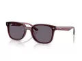 Ray-Ban Solbriller RB 4461D 659373