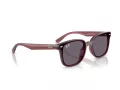 Ray-Ban Solbriller RB 4461D 659373