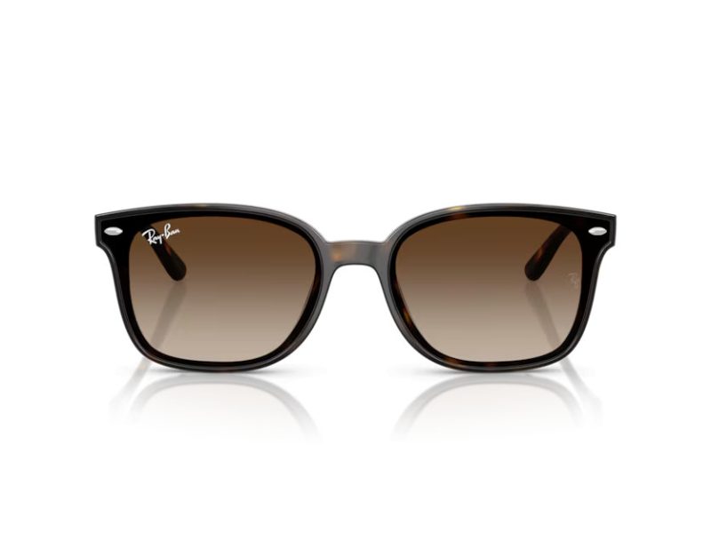 Ray-Ban Solbriller RB 4461D 710/13
