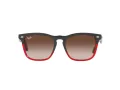 Ray-Ban Steve Solbriller 4487 663113