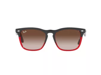 Ray-Ban Steve Solbriller 4487 663113