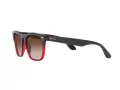 Ray-Ban Steve Solbriller 4487 663113