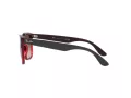 Ray-Ban Steve Solbriller 4487 663113