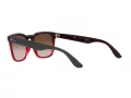 Ray-Ban Steve Solbriller 4487 663113