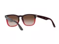 Ray-Ban Steve Solbriller 4487 663113