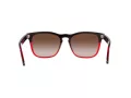 Ray-Ban Steve Solbriller 4487 663113