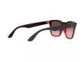Ray-Ban Steve Solbriller 4487 663113