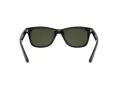 Ray-Ban Solbriller RB 4640 601/31