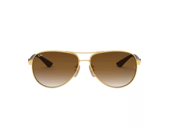 Ray-Ban Carbon Fibre Solbriller RB 8313 001/51