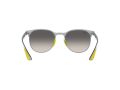 Ray-Ban Solbriller RB 8327M F080/11