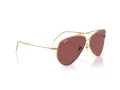 Ray-Ban Aviator Reverse Solbriller RB R0101S 001/69