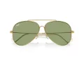 Ray-Ban Aviator Reverse Solbriller RB R0101S 001/82