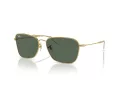 Ray-Ban Caravan Reverse Solbriller RB 0RBR0102S 001/VR